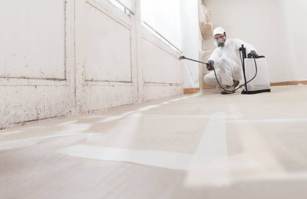 24/7 Emergency Mold Remediation experts in Scotland, MD