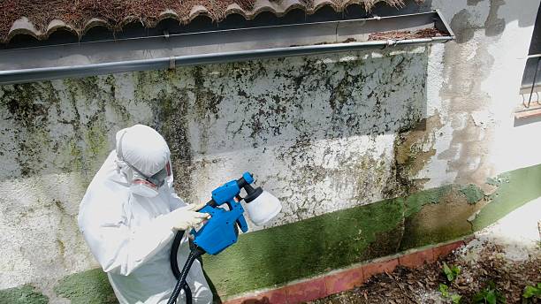 Top rated local Mold Remediation specialists in Scotland, MD
